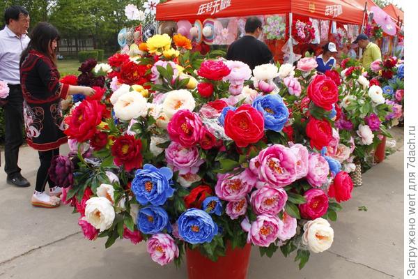 10 апреля начнется недельный фестиваль пионов в Китае