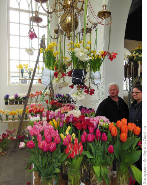 Фестиваль цветочных панно и мозаик в Голландии
