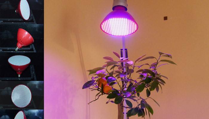 Светодиодные лампы для растений