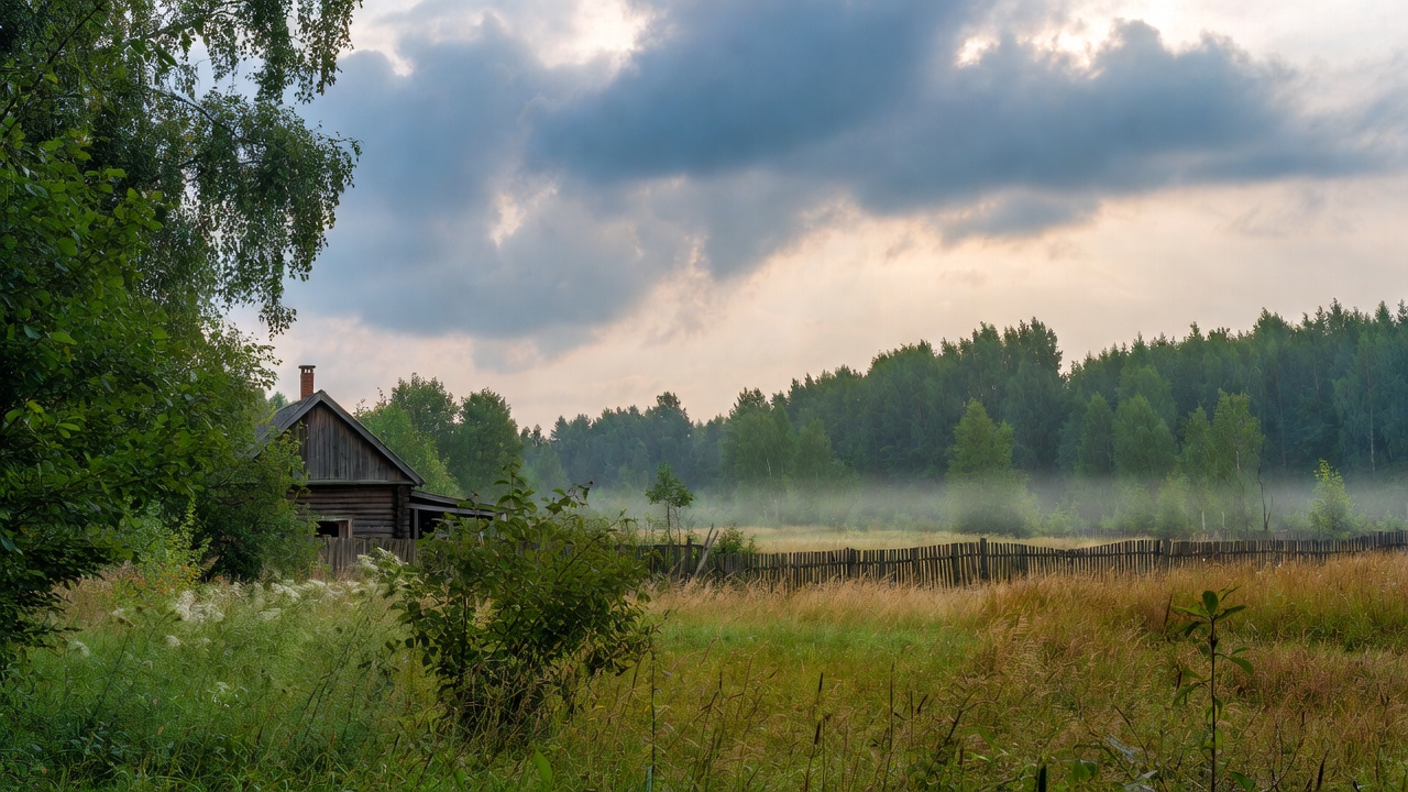 Розы для выращивания в Подмосковье. Сорта, описание, фото