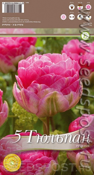 Махровые тюльпаны. Мечты в ожидании весны
