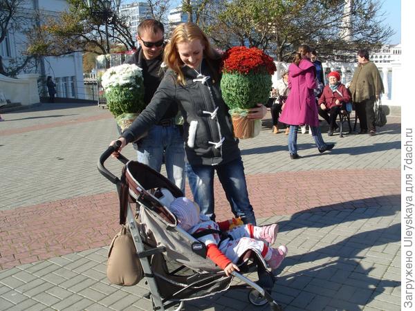 Бал хризантем в Севастополе