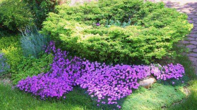 9 идей ландшафтного дизайна, не требующих больших затрат