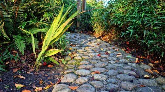 9 идей ландшафтного дизайна, не требующих больших затрат