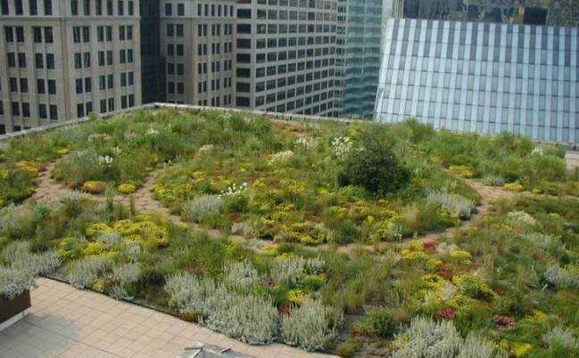 Как разбить сад на крыше за 7 шагов Как разбить сад на крыше за 7 шагов