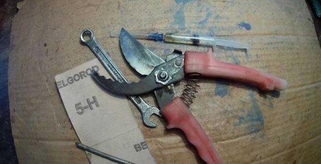 Как заточить садовые ножницы за 4 простых шага