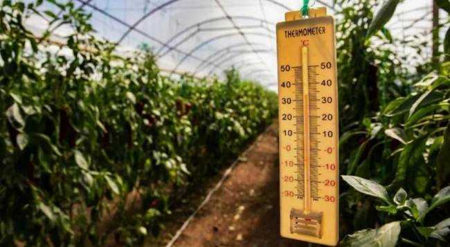 7 советов по устранению дефицита кальция у растений 7 советов по устранению дефицита кальция у растений